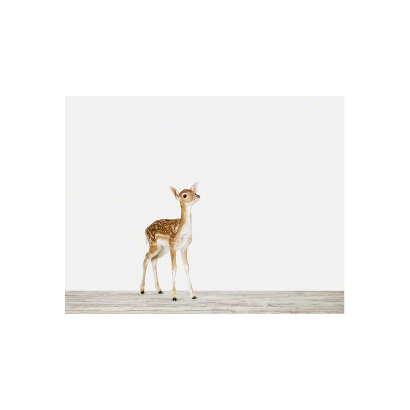 Animal Print Shop Baby Deer Print