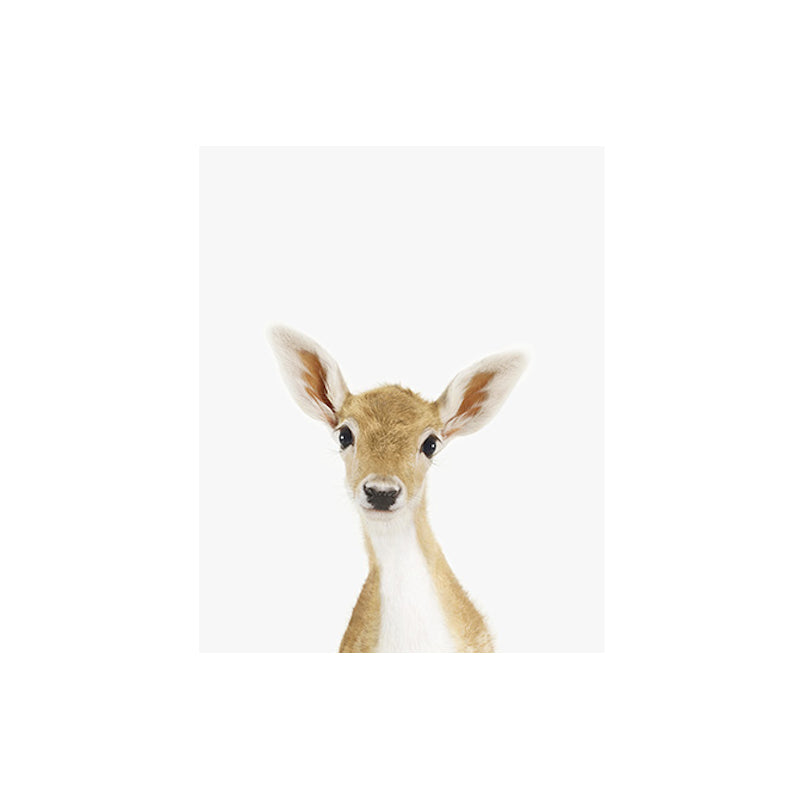 Animal Print Shop Baby Deer Portrait Print
