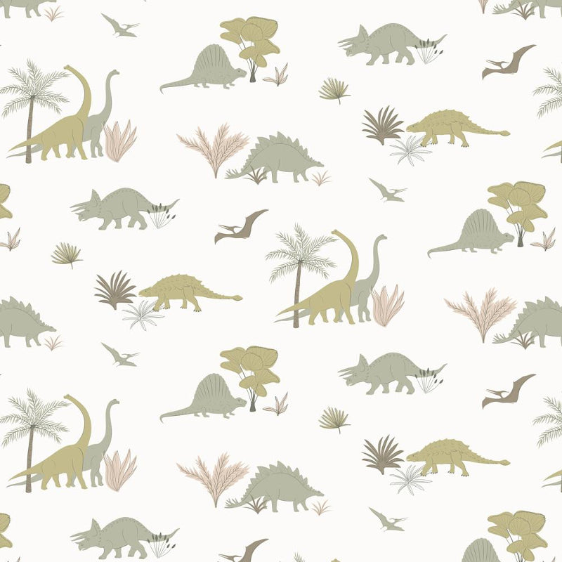 Hibou Home Dinosaurs Wallpaper